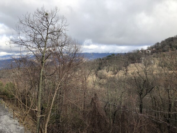 A mountainous landscape with a clear sky and a path leading through a forest. - Private chalet cabin with incredible views! (Gatlinburg)