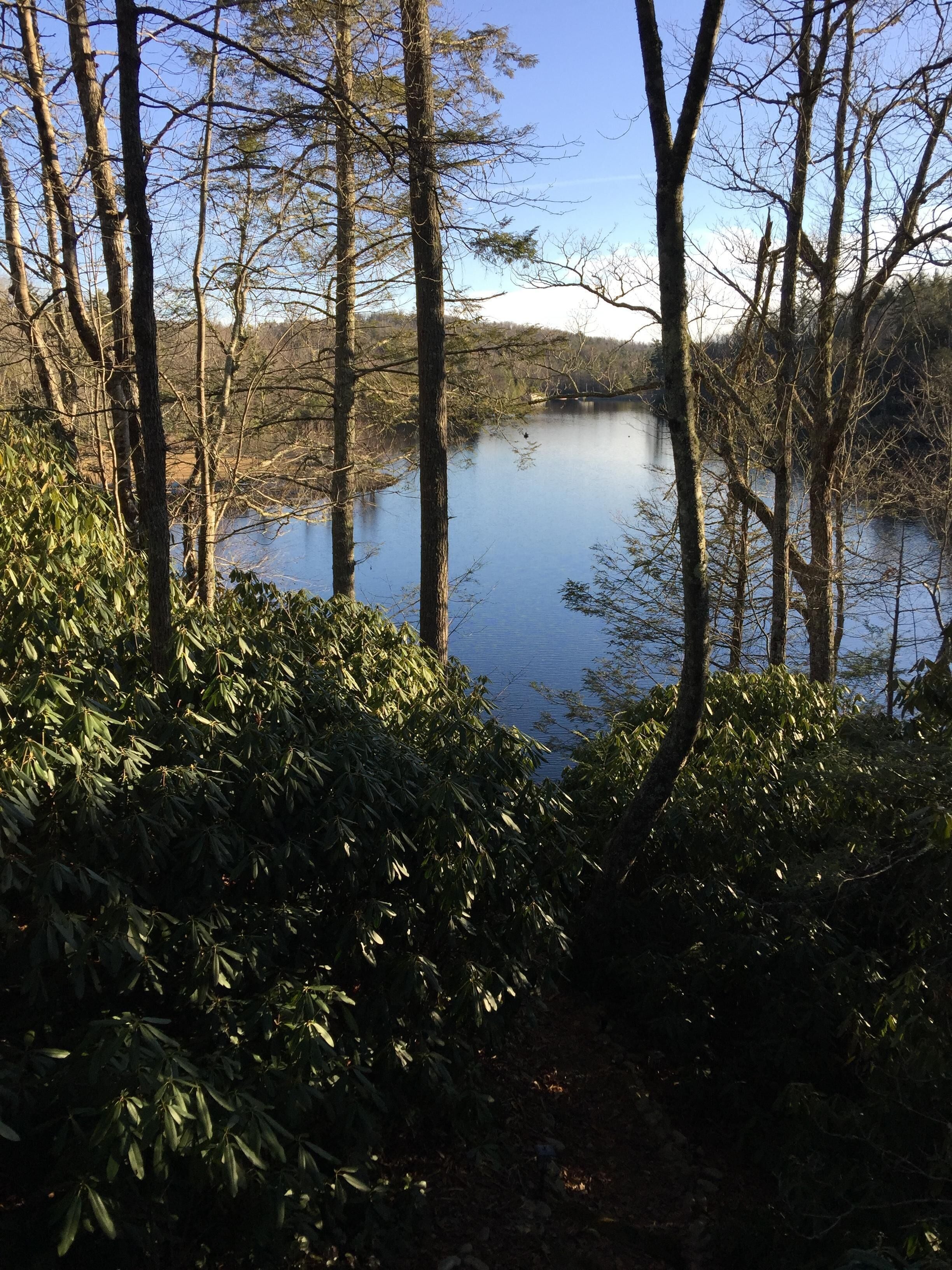 Lake House Retreat - in the Beautiful NC Mountains