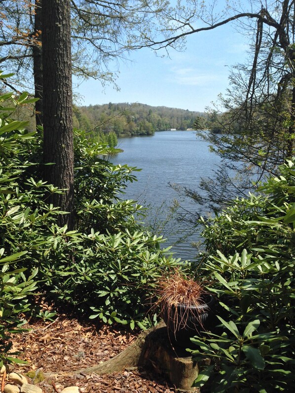 Property grounds - Lake House Retreat - in the Beautiful NC Mountains (Newland)