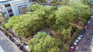 Eine Vogelperspektive einer Stadtstraße mit geparkten Motorrädern und Autos, umgeben von üppigen Grünflächen und einem blau gemusterten Bereich.