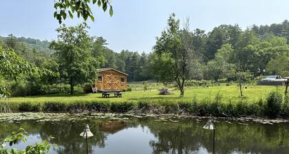 Luxury Highlands Intown Home-lähellä vesiputouksia ja patikointia, Winter Special!