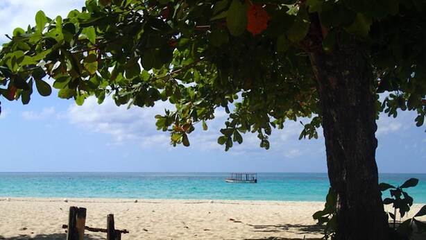 Une plage avec une clôture en bois, un arbre et un bateau au loin.