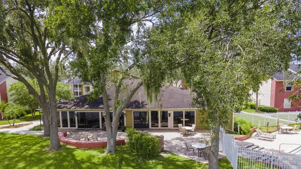Un jardin à l’arrière d’une maison, avec une terrasse couverte, une pelouse et une clôture blanche.