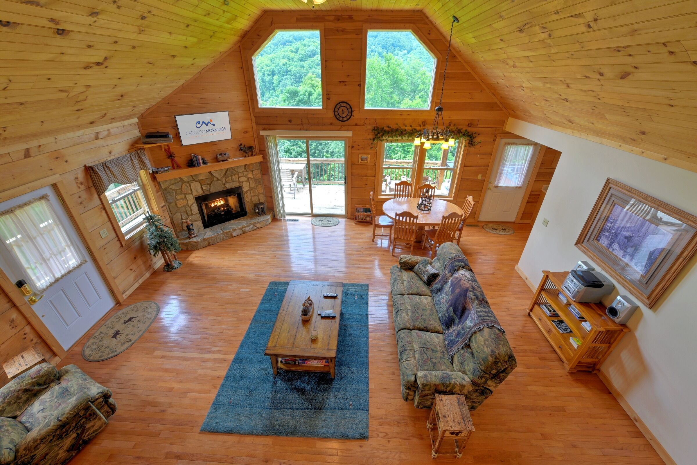 TV, fireplace, DVD player, books