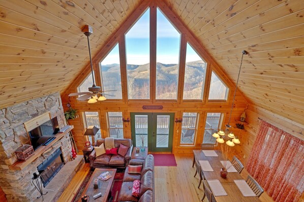 电视、壁炉、DVD 播放器、书