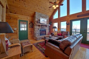 电视、壁炉、DVD 播放器、书