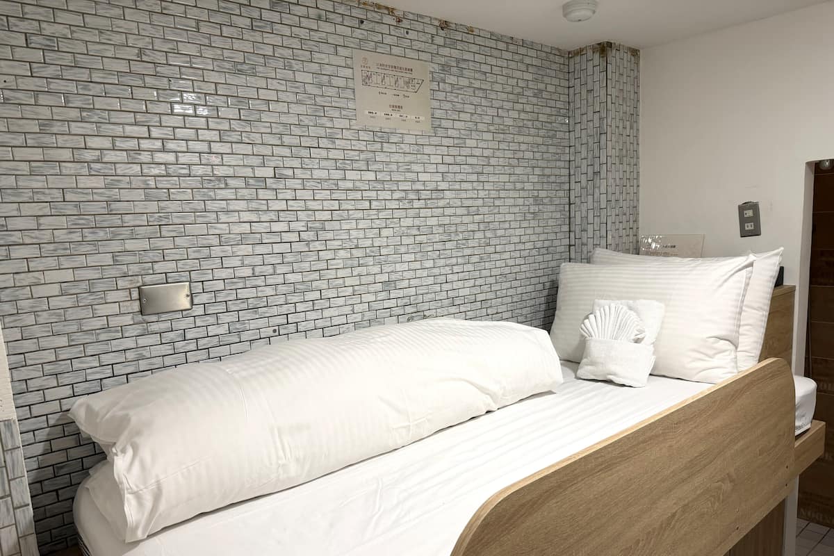 Basic Single Room | Down comforters, desk, free WiFi, bed sheets