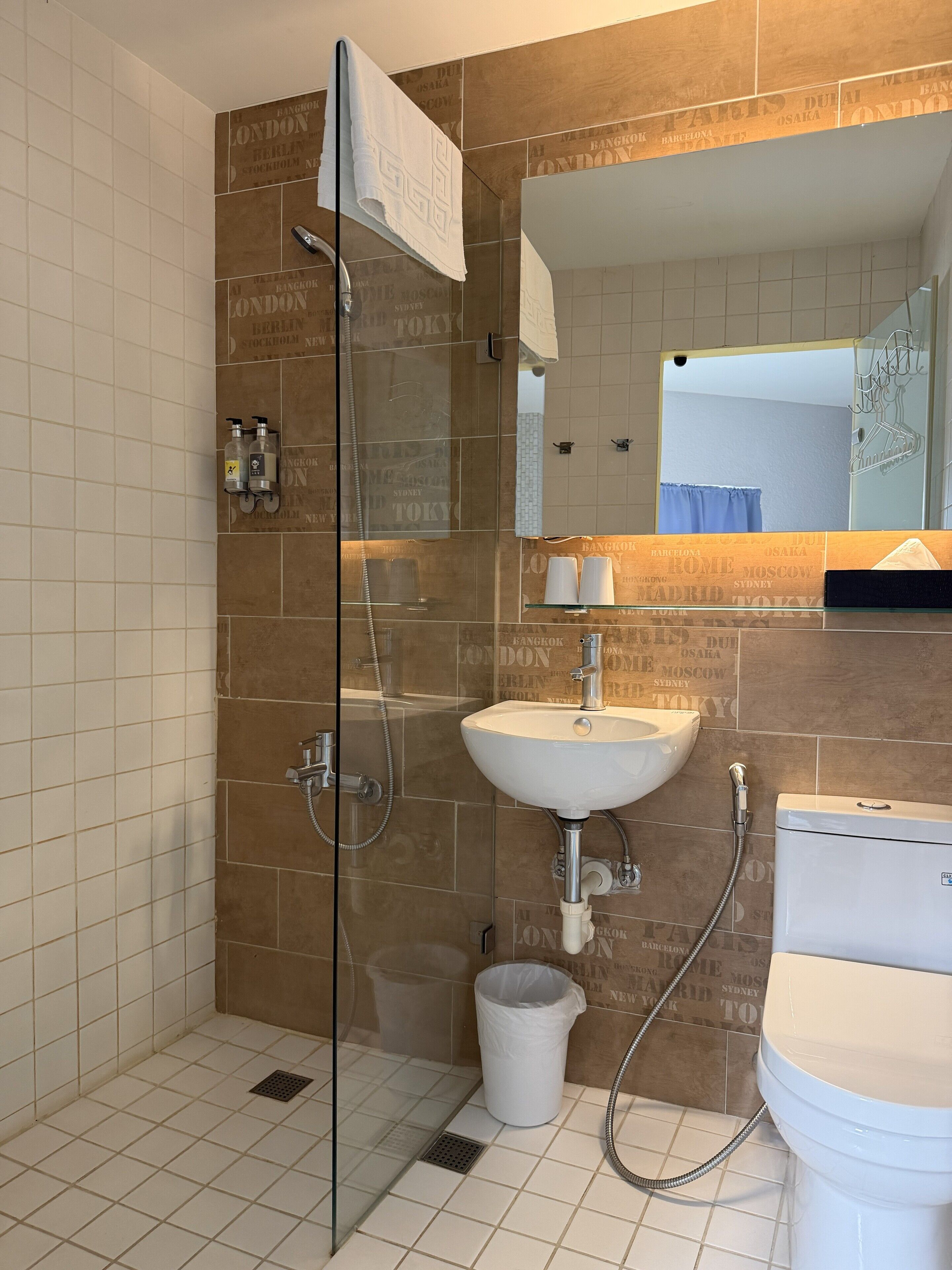 A modern bathroom with a glass-enclosed shower, a sink, and a toilet.