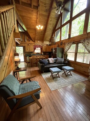 TV, fireplace, DVD player, stereo