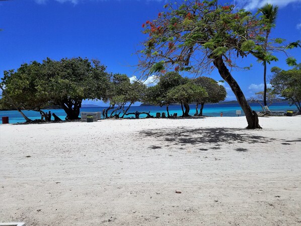 On the beach, sun loungers, beach towels