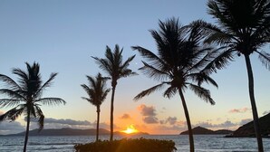 Een strand met palmbomen en een zonsondergang.