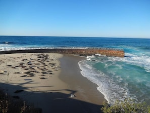 Perto da praia, espreguiçadeiras, toalhas de praia 