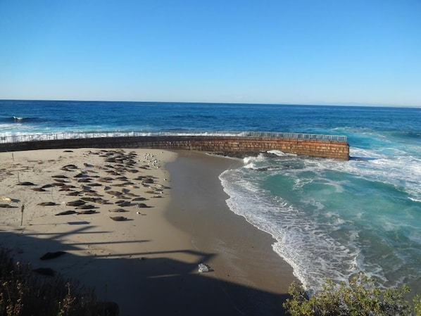靠近海滩、沙滩椅、沙滩毛巾