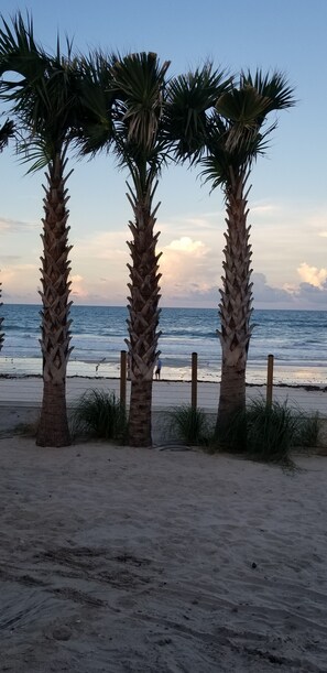 A beach with three palm trees and a wooden fence.