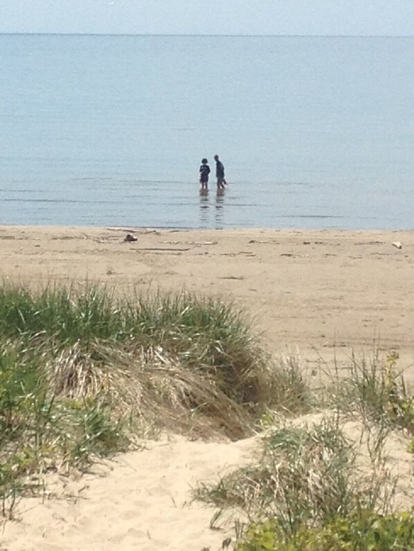 Beach nearby, sun-loungers, beach towels