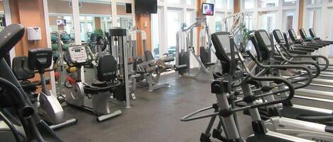 Uma academia com diversos equipamentos de exercícios, incluindo esteiras e aparelhos de musculação, dispostos em fileiras.
