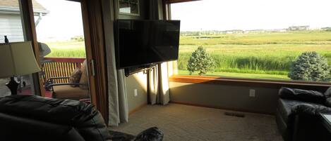 Televisión, chimenea, reproductor de DVD y videoteca