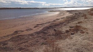 Una playa con arena y una masa de agua.