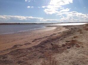 ビーチの近く、サンラウンジャー