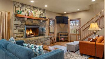 Téléviseur, foyer, lecteur de DVD, livres