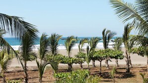 A beach with palm trees and the ocean in the background.