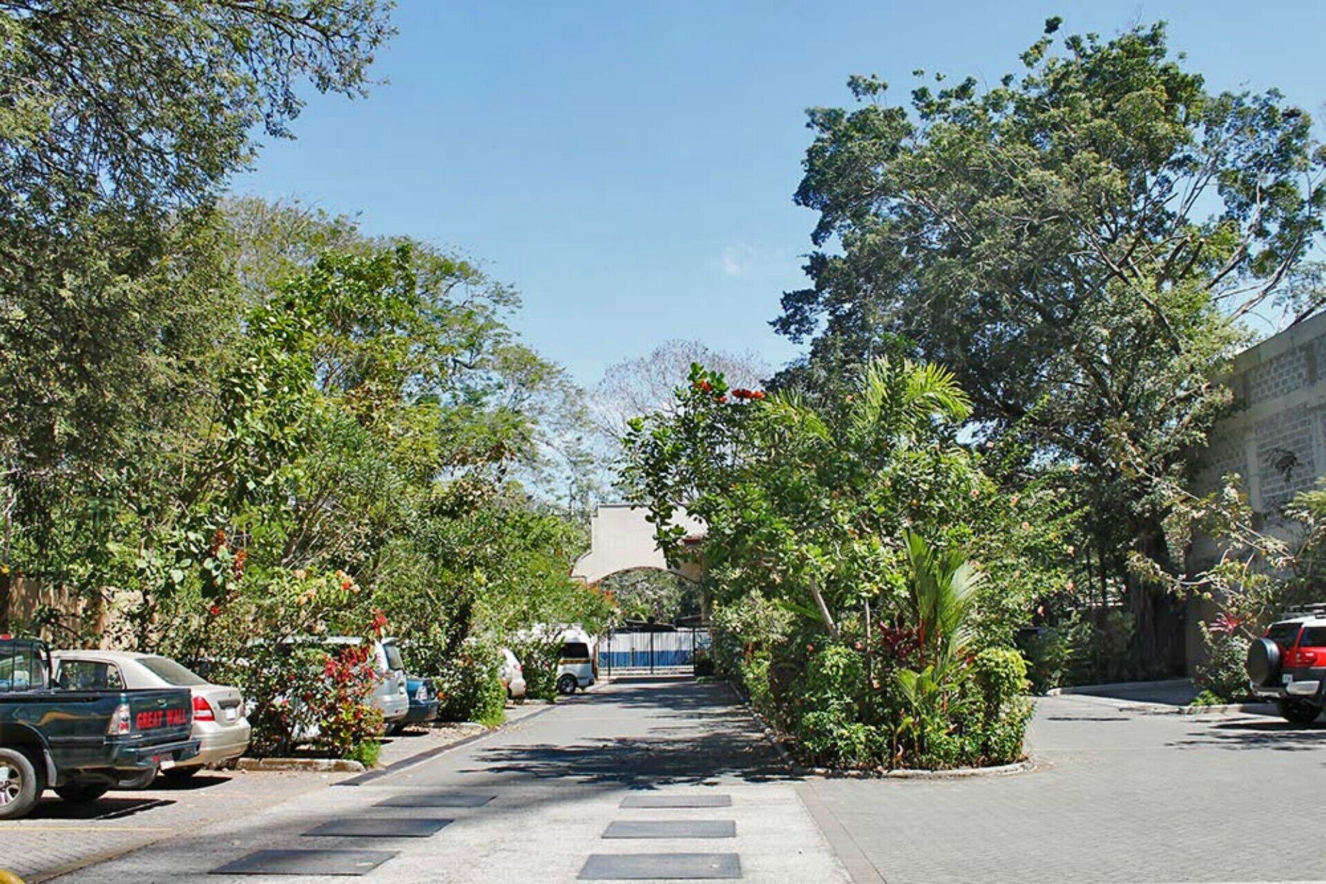 A street lined with parked cars and lush greenery.