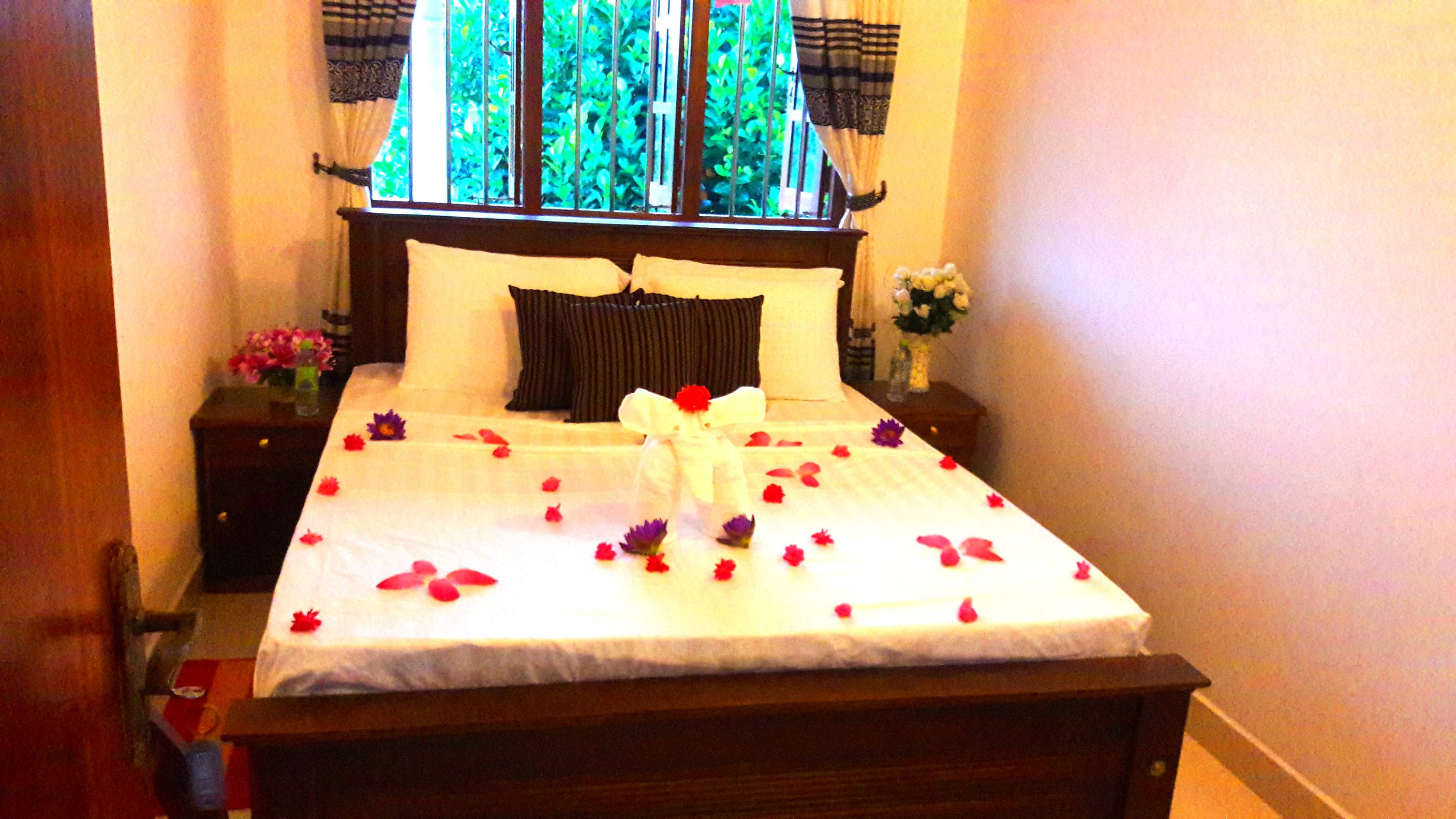 Doppia Standard, 1 letto matrimoniale, bagno condiviso, vista giardino | Vista dalla camera