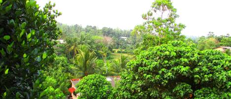 Chambre Double Deluxe, 1 lit double, salle de bains commune, vue jardin | Vue de la chambre