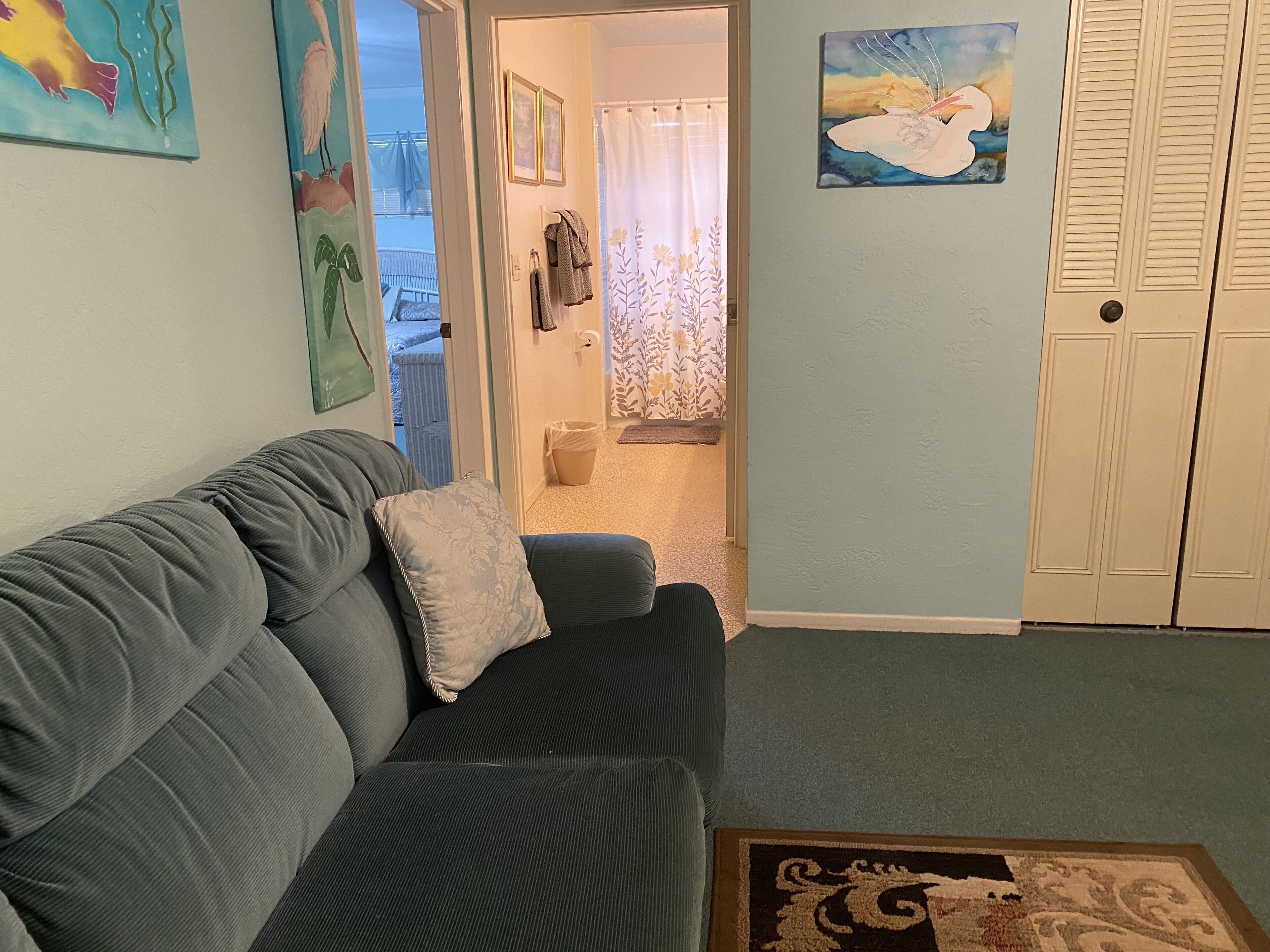 TV, Hulu, DVD player, books