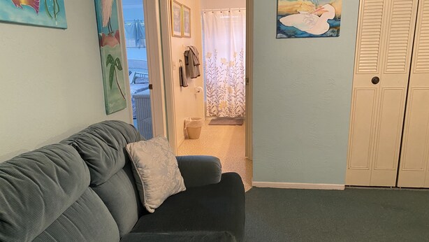 Una sala de estar con un sofá gris, un cojín estampado y una alfombra con diseño de dragón. Se ve una puerta que da a un baño con cortina de ducha y toallas colgadas en la pared.