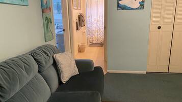 TV, Hulu, DVD player, books