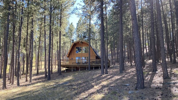 Una cabaña de madera con terraza, rodeada de altos pinos en un bosque.
