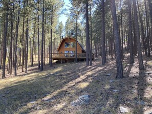 A wooden cabin with a deck, surrounded by tall pine trees in a forest.