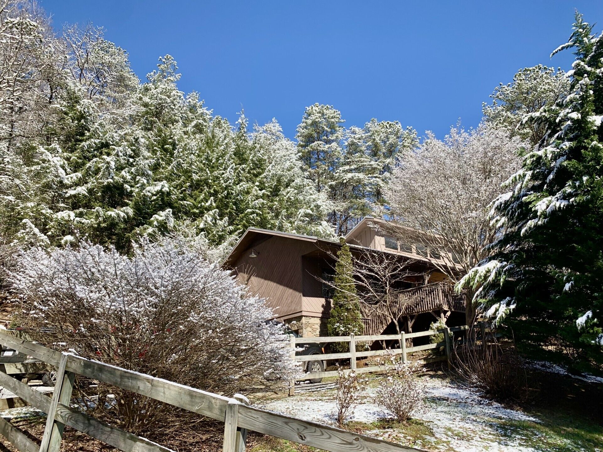 A rustic cabin surrounded by snow-covered trees and a wooden fence.