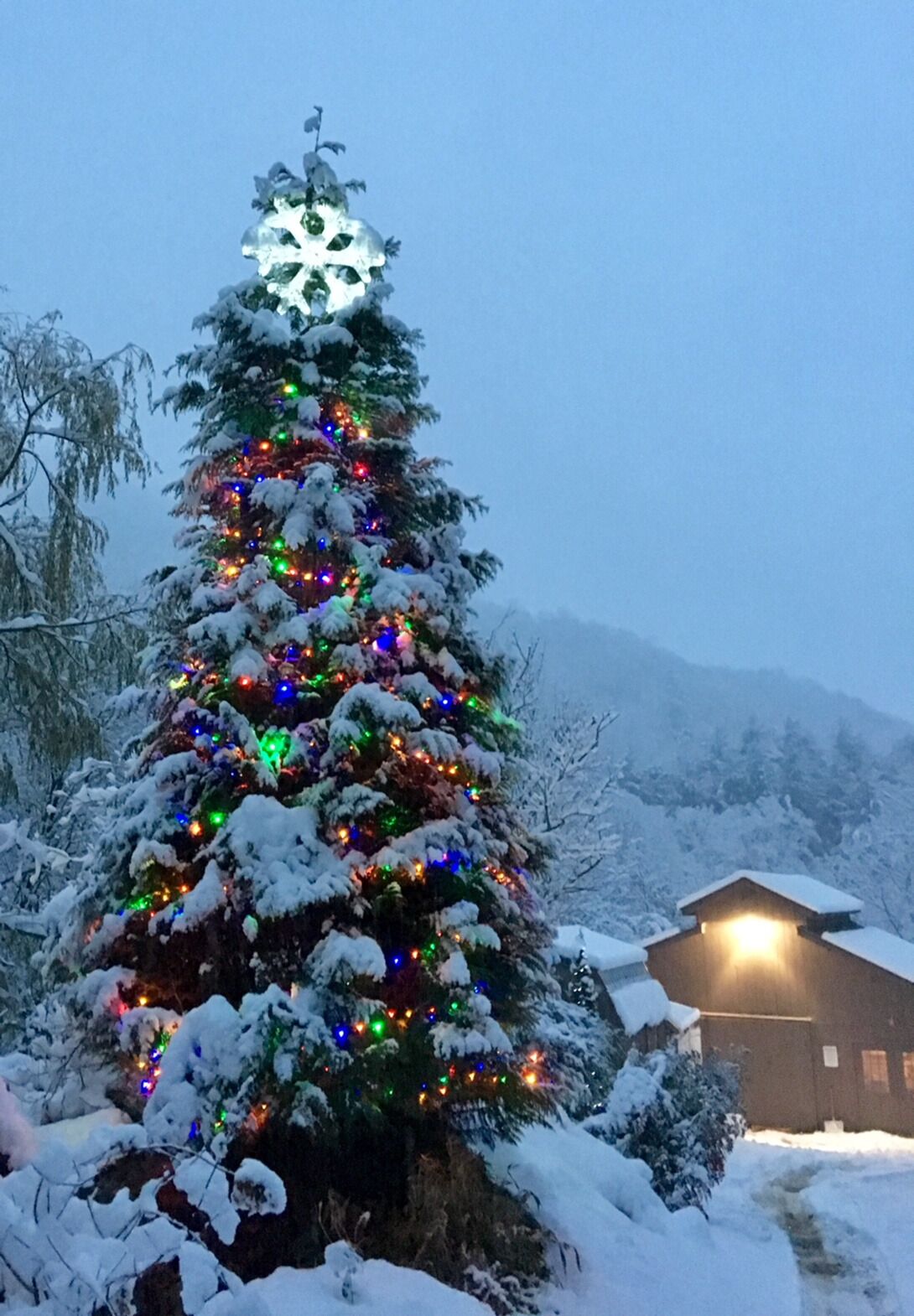 Un sapin de Noël recouvert de neige, illuminé de guirlandes colorées, avec une cabane en bois en arrière-plan et un paysage montagneux.