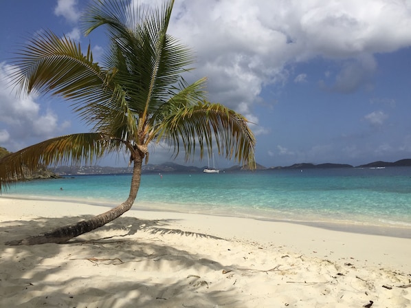 Une plage avec un palmier, une eau turquoise et limpide, et des montagnes à l’horizon.