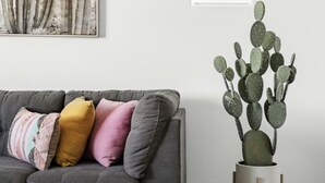 Ein Wohnzimmer mit grauem Sofa, bunten Kissen, einem hölzernen Couchtisch, einer Sukkulente auf einem Sockel und einem Wandbild mit Kakteien.