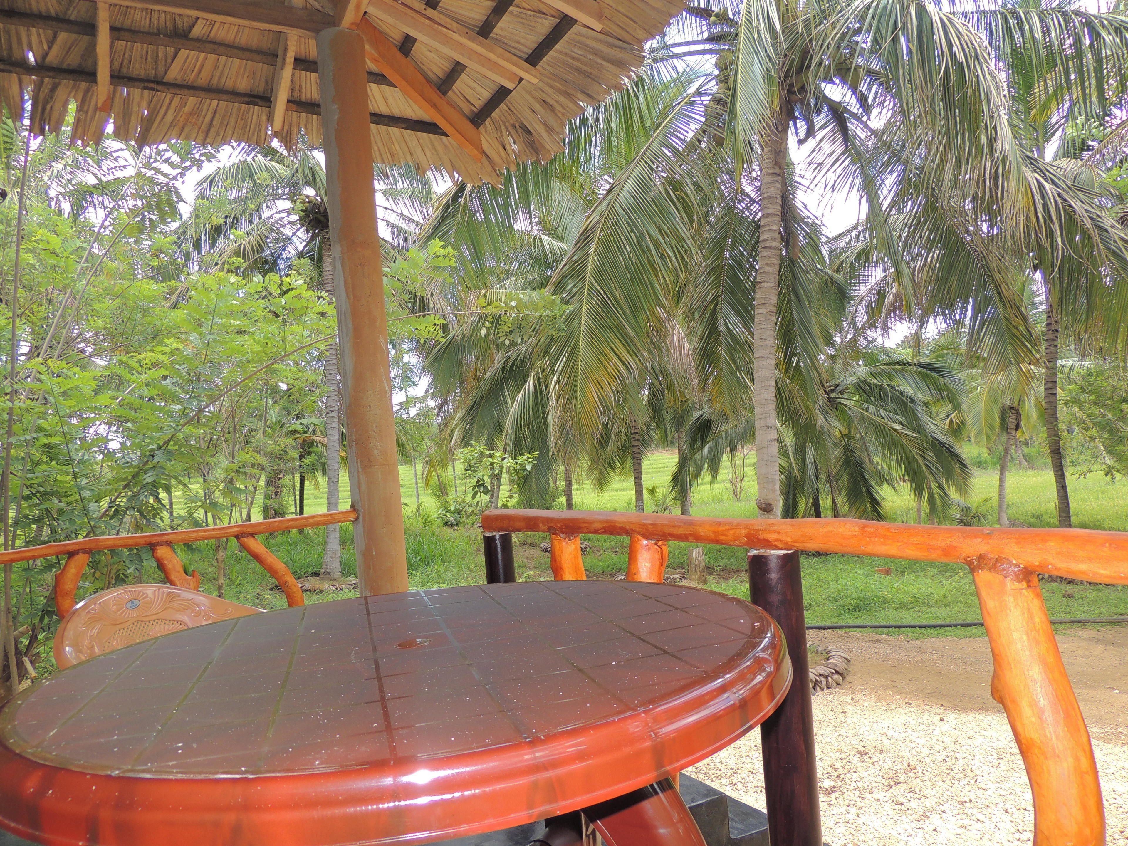 Pemandangan dari hartanah