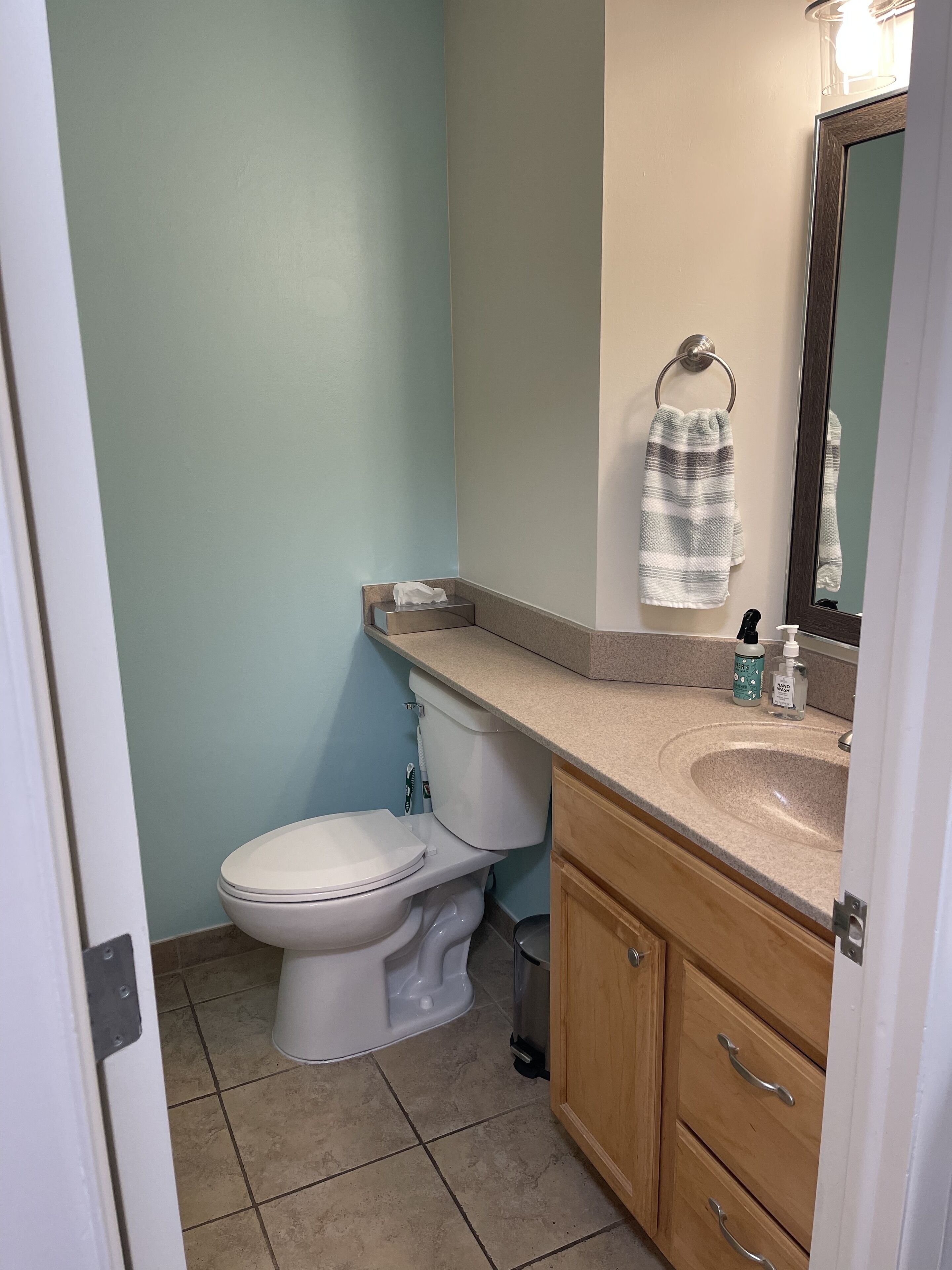 Combined shower/bathtub, eco-friendly toiletries, hair dryer, towels