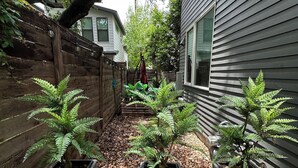 A garden with three potted ferns, a wooden fence, and a house with siding. - Bright Contemporary Guest House with Private Patio, Walk to S Congress, Downtown (Austin)