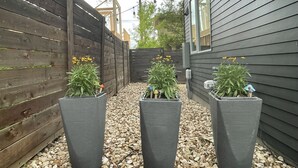 A narrow pathway flanked by wooden fences and a dark siding house. Three planters with green plants and yellow flowers are aligned along the path. - Bright Contemporary Guest House with Private Patio, Walk to S Congress, Downtown (Austin)