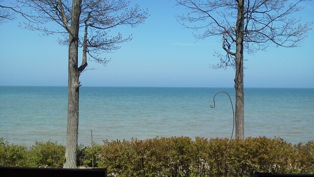 A view of the sea from a covered area with two trees framing the scene.