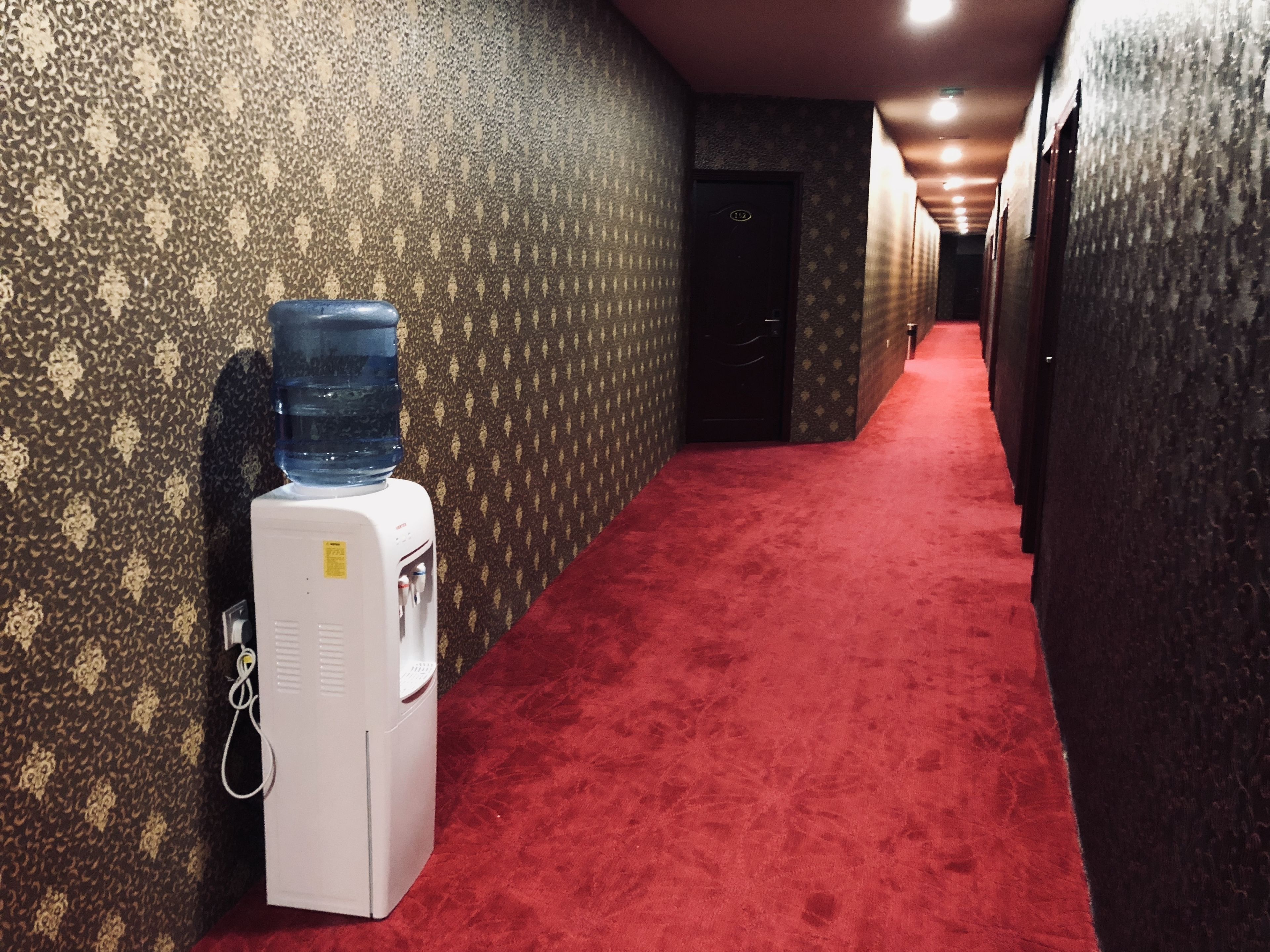 Un corridoio con carta da parati decorata, un dispenser d'acqua e un tappeto rosso.