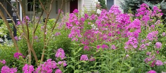 Cozy cottage on the Miller farm. 