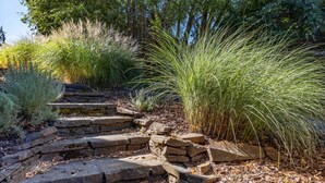 A stone staircase surrounded by various types of vegetation. - West Sail - Play & Work in Hood River! River & Mountain Views, Quiet, Walk to Downtown (Hood River)