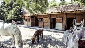 A stable with wooden stalls and a dirt ground. - Le Clos des Aramons (Bernis)
