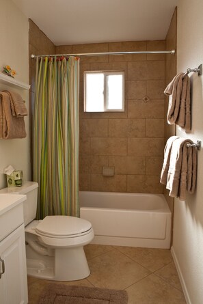 Hair dryer, towels, soap, shampoo