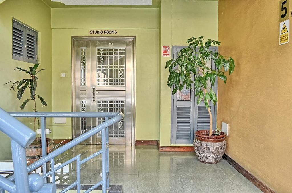 Um corredor com escadas, uma porta com a inscrição "STUDIO ROOMS" e uma planta em vaso.