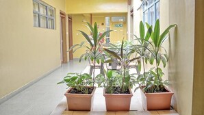 Un couloir avec des plantes en pot, une porte et une fenêtre.