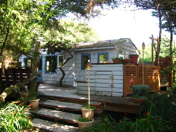 Un chalet rustique doté d’une véranda, entouré d’une végétation luxuriante et agrémenté de plantes en pot.